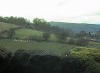 Click to view this webcam